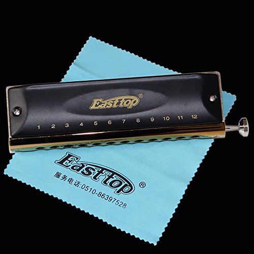 Easttop Dreamer T12-48B Black 12 Hole 48 Tone C Key 