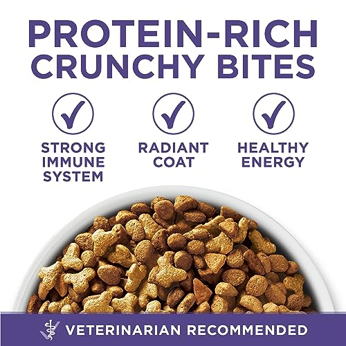 Purina ONE +Plus Dry Cat Food, Hairball Formula Chicken - 1.8 kg Bag