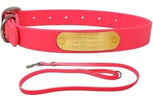 Regal Dog Products Large Pink with Custom Engraved Waterproof Dog Collar and Leash Set | Waterproof Dog Collar with Double Bu