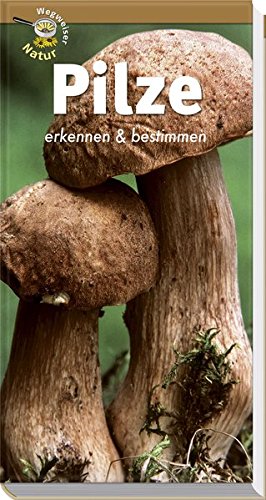 Pilze Erkennen Und Bestimmen Wegweiser Natur Amazon De Bucher
