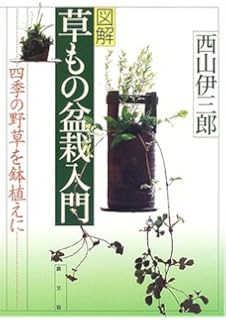 Zukai kusamono bonsai nyuÌ„mon