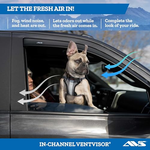 Auto Ventshade [AVS] Outside Mount Rain Guards for 1992 2006