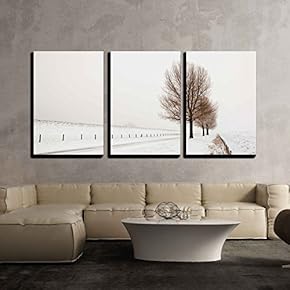 3 Piece Canvas Wall Art - Row of Large and Bare Trees. It is Very Early in The Morning - Modern Home Art Stretched and Framed Ready to Hang - 16"x24"x3 Panels