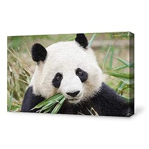 Canvas Wall Art for Living Room,Bedroom Home Artwork Paintings Cute Panda Ready to Hang - 12x18 inches
