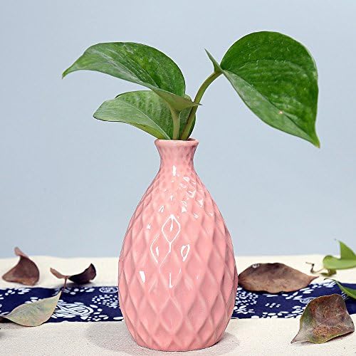 Kekolin Ceramic Flower Vase