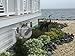 Yardfitter AutoReel Retractable Hose Reel (60 Feet x 5/8