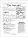 100 Riddle Poems For Pocket Charts: Delightful Guess-Me Poems With Ready-to-Go Pictures That Build Important Early Reading and Phonics Skills