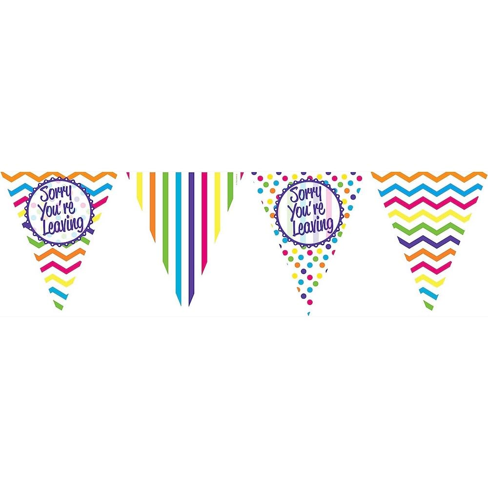 Anniversary House Sorry You're Leaving Chevron Stripe Polka Dot Paper Flag Bunting | Sad to See You Go Party Decorations | 11 Flags Banner Decoration | Banner for Men, Women, Unisex | M246