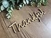 Thankful wood cutouts, fall plate decorations