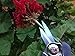 Ultra Snip 6.7 Inch Pruning Shear with Stainless Steel Blades