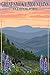 Bears and Spring Flowers - Great Smoky Mountains National Park, TN (9x12 Art Print, Wall Decor Travel Poster)