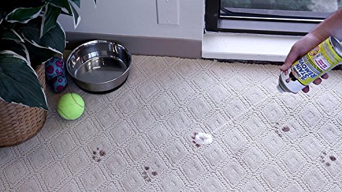 3 Campanellis+Professional+Formula+Remover+Aerosol