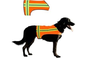 BUDDY GLOW Reflective Dog Vest. Hi Visibility Blaze Orange Hunting Safety Vest Adjustable, Lightweight for Outdoor use - Hiking, Walking & Hunting. Water Resistant (Large)