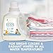 Earth Friendly Products Baby Ecos Free and Clear Disney Laundry Detergent, 100 Fl Oz (Pack of 2)