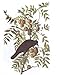 Audubon's Birds Of America (Tiny Folio)