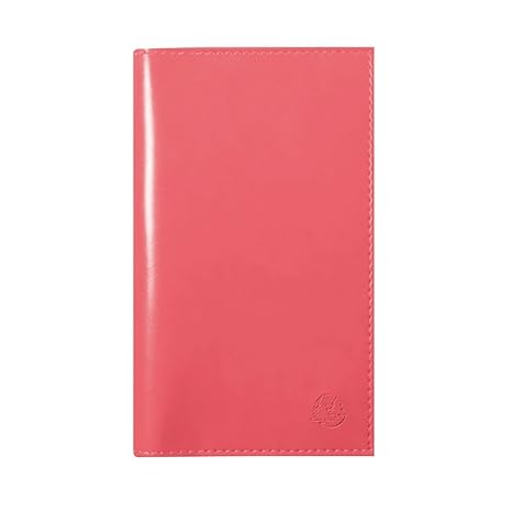 Exacompta Verona Sad 16S Schülerkalender Tasche Wochenkalender September 2017 bis August 2018 16 x 9 cm koralle