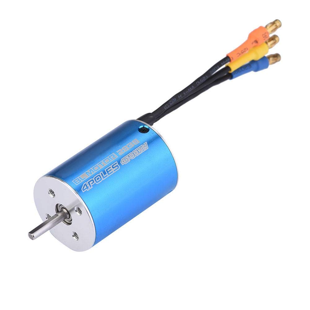 RC Car Brushless Motor, 4 Poles 2838 4700KV/6200KV Brushless Motor for 1/12 1/14 RC Car Part Accessory(4700KV)