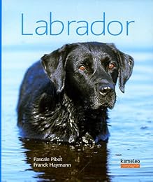 Labrador