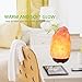 Sunnest Natural Himalayan Salt Lamp, 9 inch Hand Carved Crystal Salt Rock Lamps, Pink Hymalain Salt Lamps, Wood Base with Dimmer Control, Air Purifying