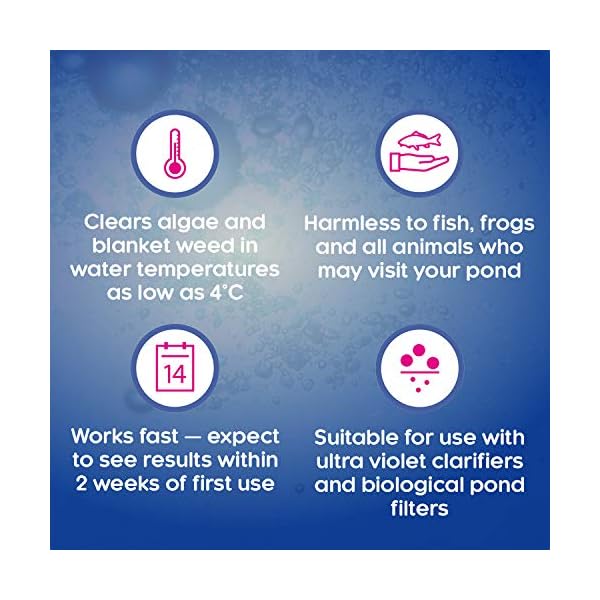 CLEAR-waters-Nishikoi-Blanketweed-Treatment-1L CLEAR waters Nishikoi Blanketweed Treatment 1L