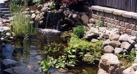 Watergardening How-to-Video - VHS By Aquascape Designs (limited quanities)