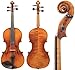 D Z Strad Model 201 4/4-Carved Antique Style Art Violin, Full Size