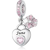 ChenYuTe 925 Sterling Silver Birthstone Bracelet Charm - Unique Heart Shaped Design, Fits most Europe Pandora Bracelets and Necklaces, women's DIY holiday Gifts