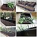 Hershii Plastic Rectangular Raised Garden Bed Planter Kit DIY Indoor Outdoor Vegetable Herb Flowers Planting Extra Deep Container Box Gardening Decoration Gift for Patios, Lawn, Yard, Porch – Brownthumb 4