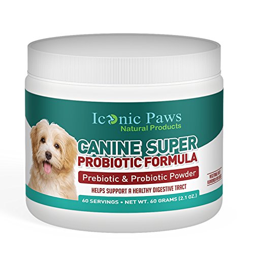 Buy Iconic Paws Natural Products Prebiotic and Probiotic Powder for ...