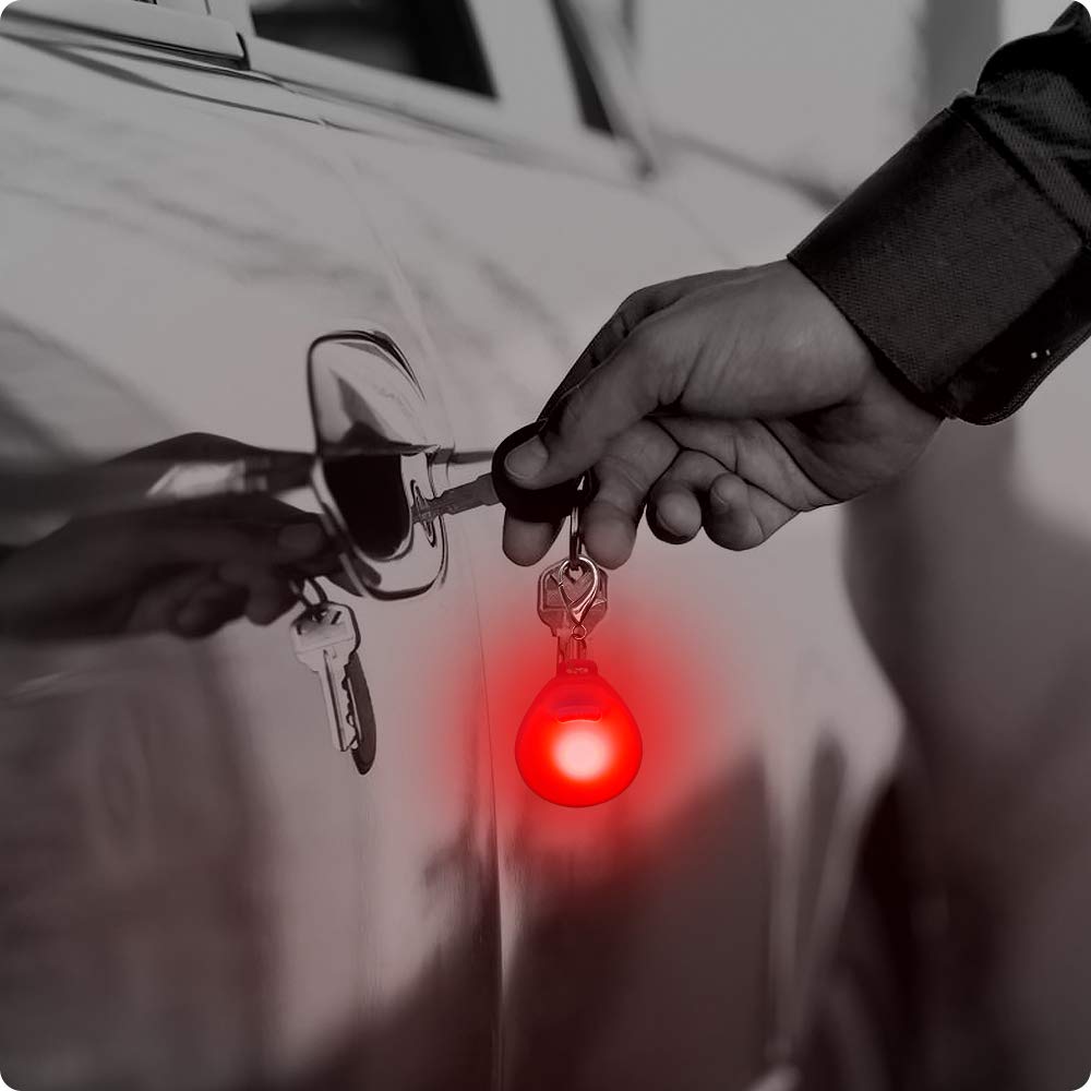 CLAN-X LED Dog Tag, Weather Resistant Light up Pet ID Tag Dog Collar Safety Lights for Night Walking, Batteries Included Dog Pendants by (Pack of 3PCS（Red, White, Blue)