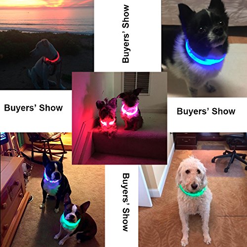 bseen led dog collar instructions