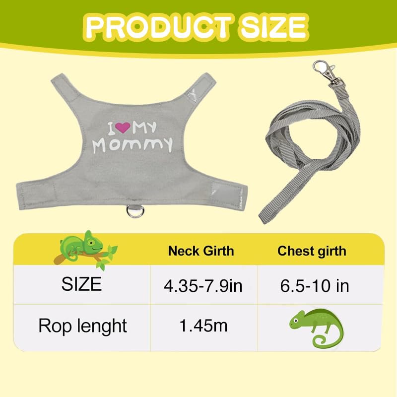View 5