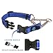 Max and Neo Stainless Steel Chain Martingale Collar - We Donate a Collar to a Dog Rescue for Every Collar Sold (Medium, Black)