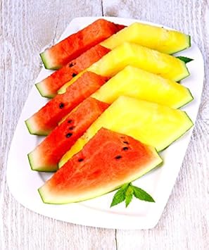 Wassermelone gemischt Samen - Wassermelone