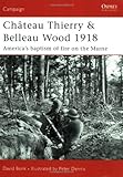 Château Thierry & Belleau Wood 1918: America’s baptism of fire on the Marne (Campaign)