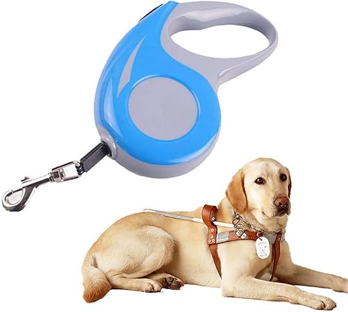 strong extendable dog lead