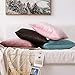 MIULEE Pack of 2 Decorative Velvet Pillow Covers Soft Square Throw Pillow Covers Solid Cushion Covers Bright Pink Pillow Cases for Spring Sofa Bedroom Car 18x18 Inch 45x45 Cm