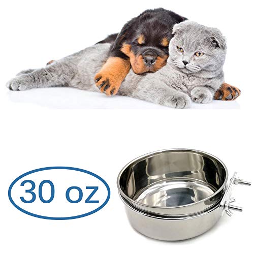 Old Tjikko Small Dog Cats Bowl,Pet Food Bowls 0oz 20oz 30oz Bird Hamster Small Animal Cup with Holder,Stainless Steel Cage Coop Hook Cup for Small Animal Cage Bowl (1pc-30oz Stainless Steel Bowl)
