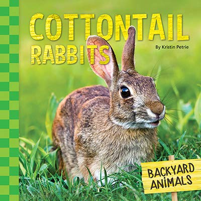 Cottontail Rabbits (Backyard Animals) by Kristin Petrie