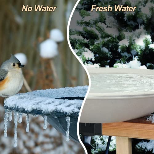 FLITI Stronger Power 60W Bird Bath Heater, Birdbath Deicer with