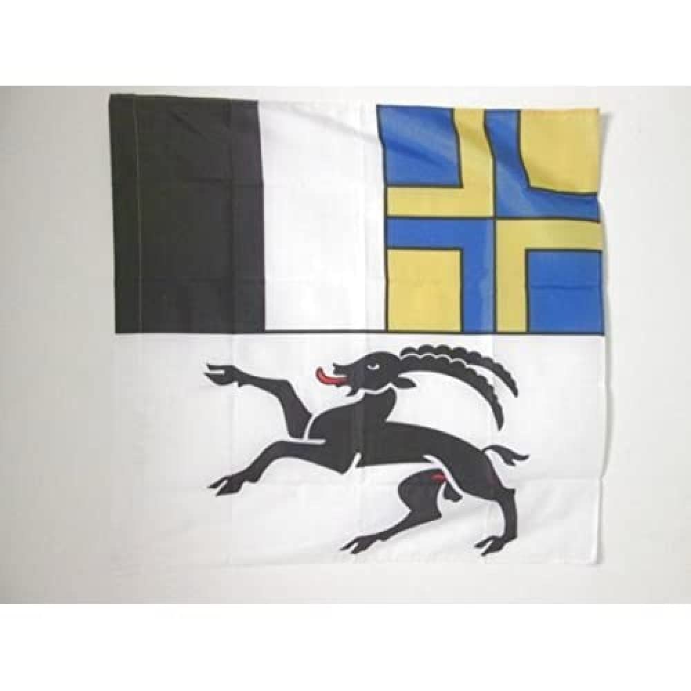 AZ FLAG - Canton of Graubünden Flag - 3x3 Ft - 100% Polyester Graubünden - GR Banner with Sleeve - Fade Resistant - Vivid Colors - 3' x 3' Feet - 90x90 Cm