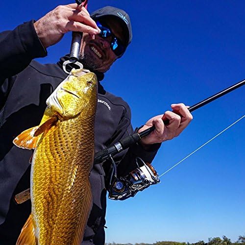 cadence fishing rods