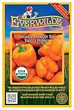 Everwilde Farms - 12 Organic Orange Sun Sweet