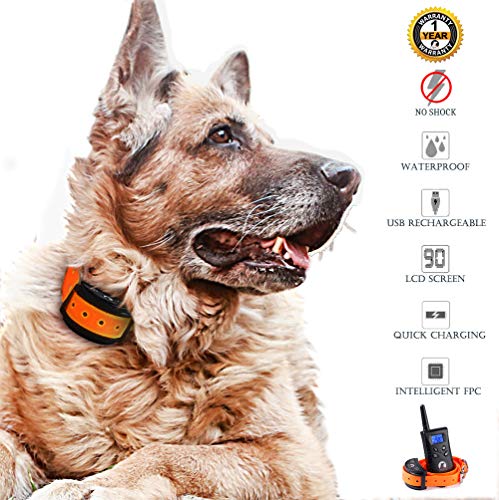 Paipaitek No Shock Dog Training Collar Rechargeable Waterproof TPU Collar No Prongs Safe (Orange)