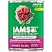 IAMS PROACTIVE HEALTH Adult Beef, Rice, Carrots and Green Beans Flavor Chunks in Gravy Wet Dog Food 13.0 Ounces (Pack of 12) primary