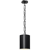 Crystorama Brian Patrick Flynn Alston 1 Light Matte Black + White Mini Pendant