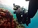 GoPro Dive Filter for Dive Housing (Magenta) (GoPro Official Accessory)