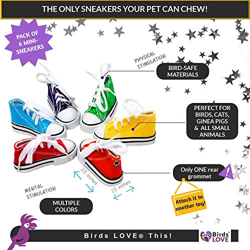 3 Birds+LOVE+Sneakers+Ferrets+Rabbits