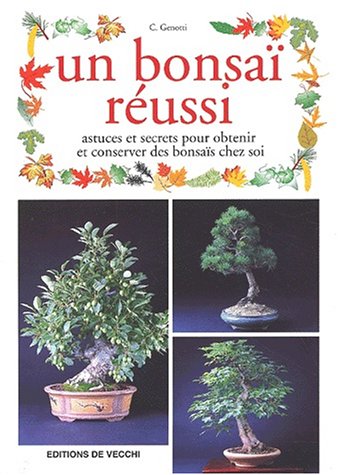 Un  bonsaï réussi