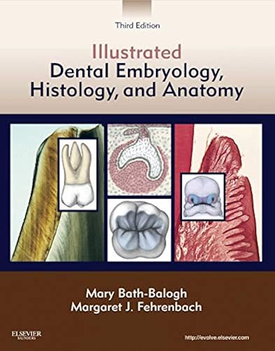 Download Illustrated Dental Embryology, Histology, and Anatomy PDF